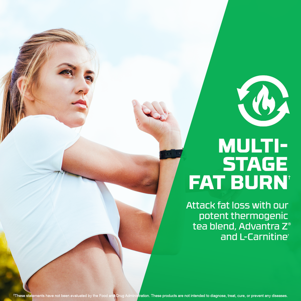 Jetfuel Thermo Watermelon - Infographic - Mult-stage fat burn